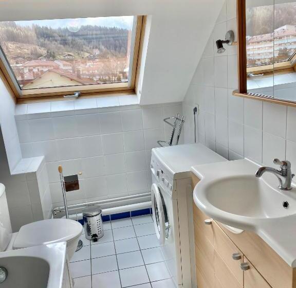 침실 2개 아파트, Tilleul Plaza Résidence