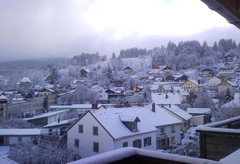 침실 2개 수피리어 아파트, Tilleul Plaza Résidence