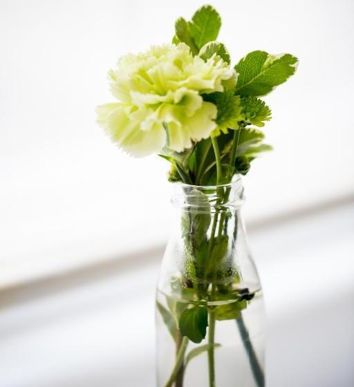 غرفة عائلية, Darlington Arms