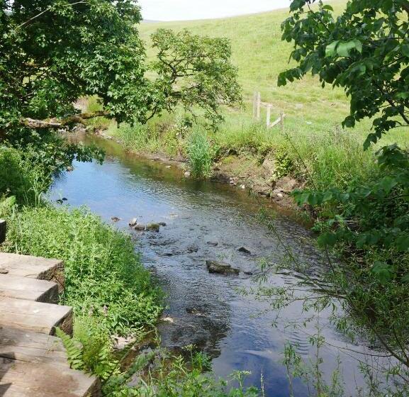 جناح سوبيريور, The Tempest Arms