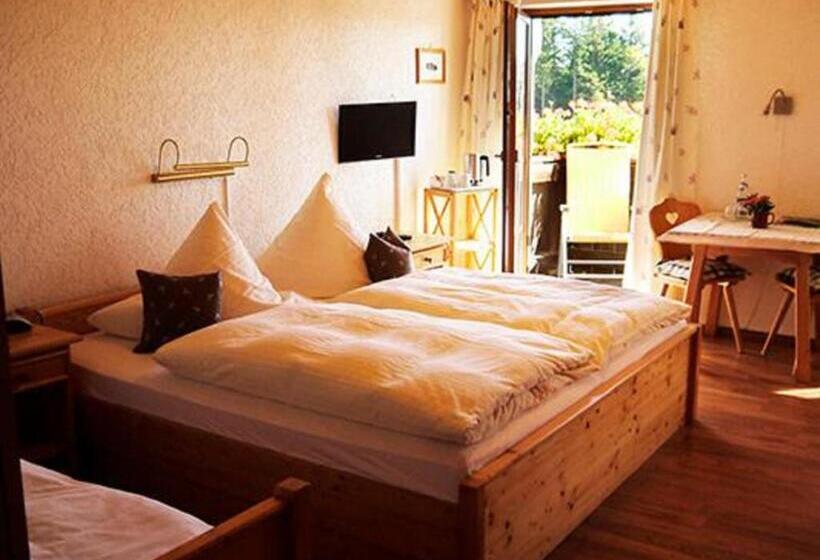 Номер Стандарт, Pension Draxlerhof