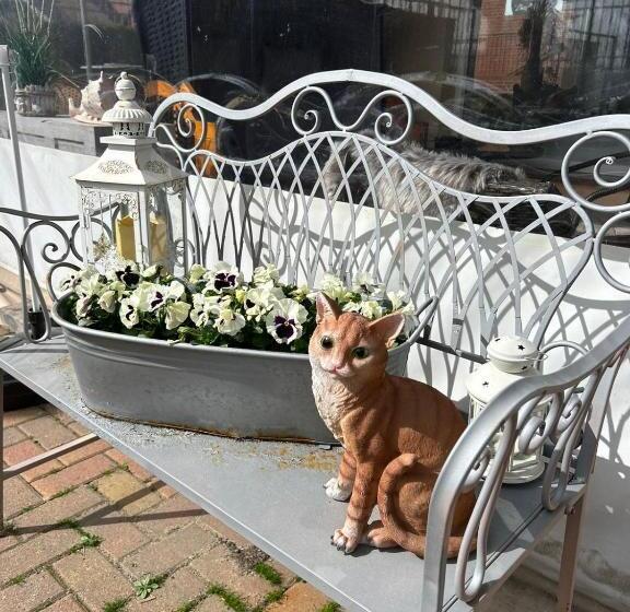 חדר סטנדרט, Pension Zur Alten Post