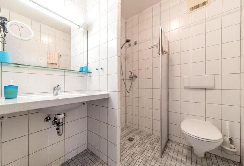 اتاق استاندارد یک نفره, Pension Gästehaus Birgit