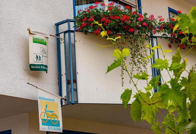 آپارتمان 1 خوابه, Pension Gästehaus Birgit