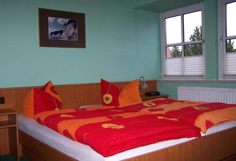 스탠다드 룸, Gasthaus & Pension  Zur Schaabe