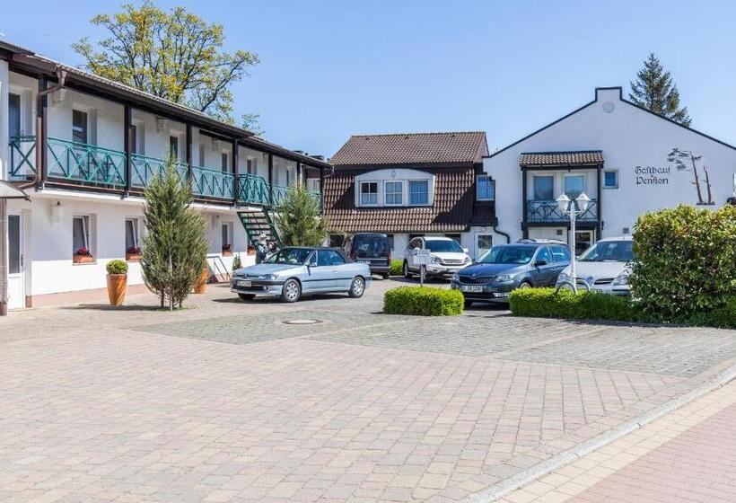 스탠다드 룸, Gasthaus & Pension  Zur Schaabe