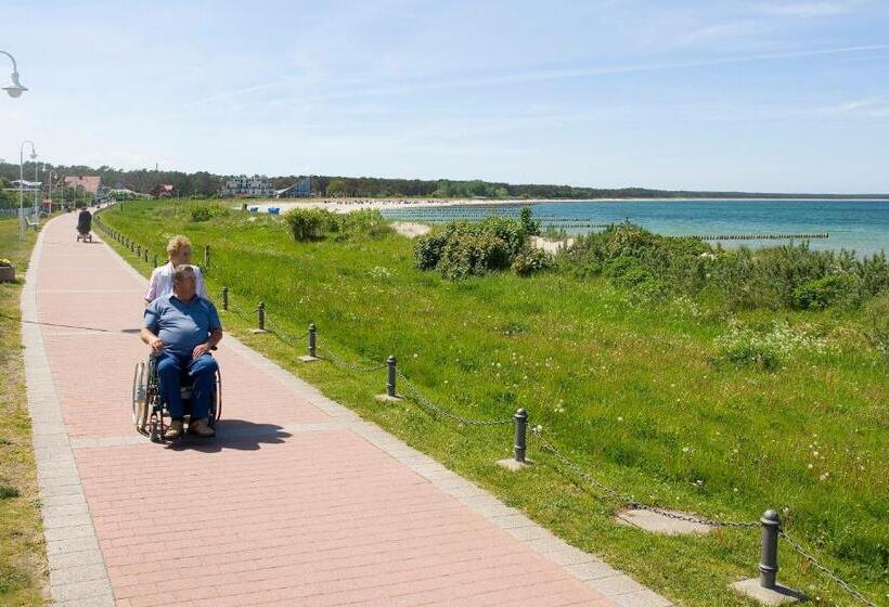 장애인을 위한 스탠다드 룸, Gasthaus & Pension  Zur Schaabe