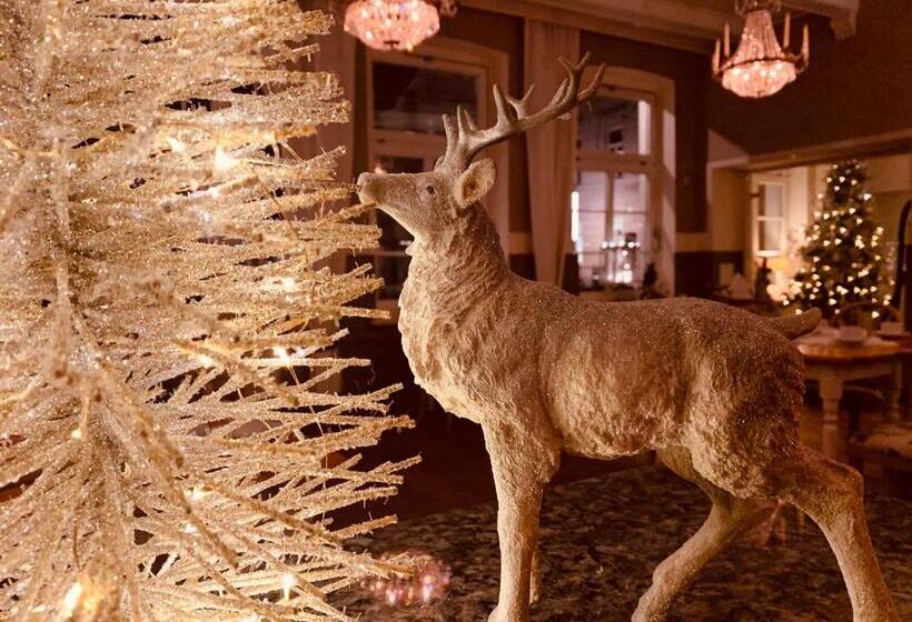 Номер Superior Одноместный, Zum Weißen Haus