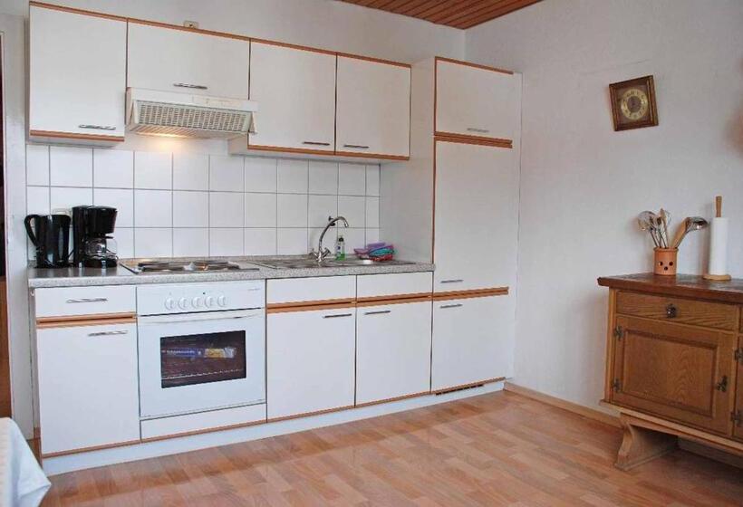 Апартаменты 1 Спальня с Балконом, Pension Bayerwald