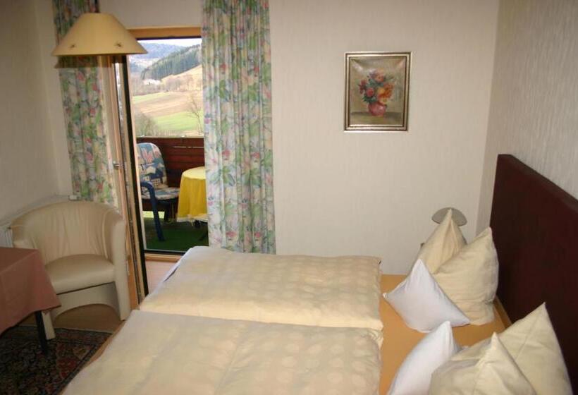 Номер Стандарт, Pension Hoisl