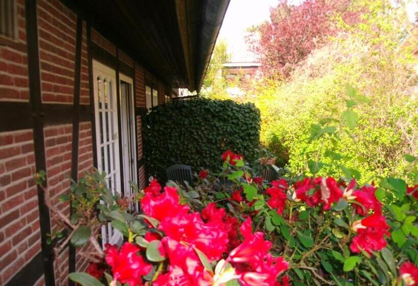 غرفة قياسية مزوَّدة بتراس, Landhaus Zum Heidewanderer Mit Thermeplus