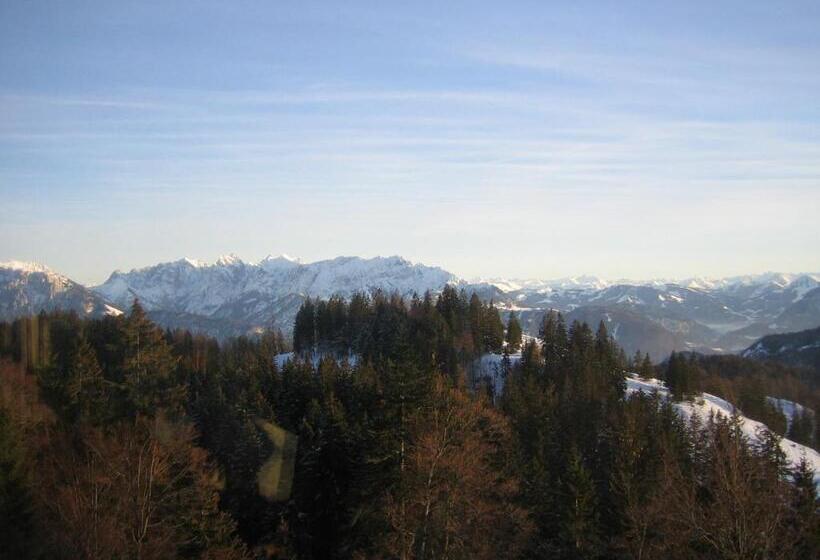 Номер Стандарт, Fruhstuckspension Lavendel