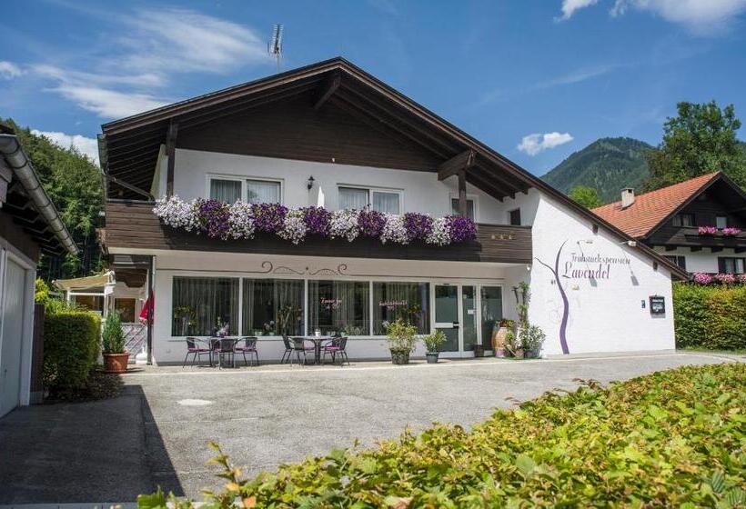 Номер Стандарт Трехместный, Fruhstuckspension Lavendel