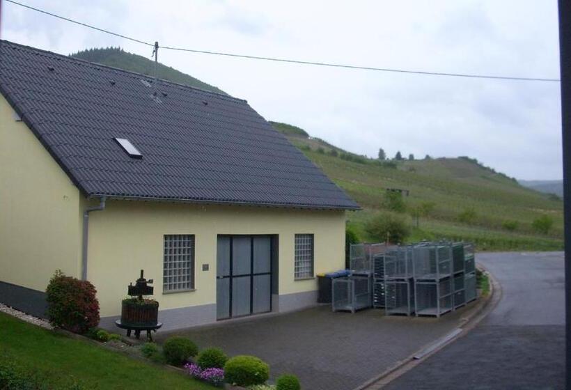 ビュー有りのスタンダードワンルーム, Brunnenhof