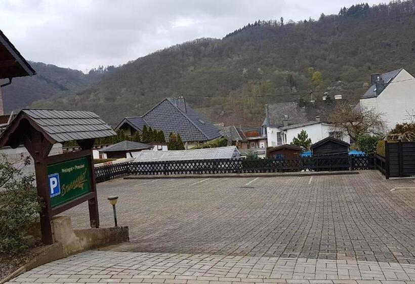 1ベッドルームのデラックスアパートメント, Brunnenhof