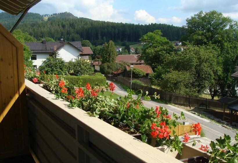 1 Bedroom Apartment Mountain View, Drei Tannen