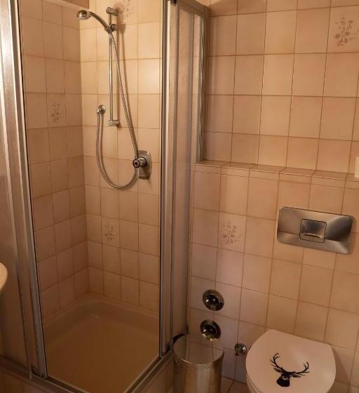 חדר סטנדרט, Landgasthof Hirschen Untermettingen