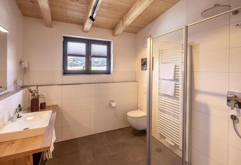 Апартаменты 1 Спальня, Riedbergerhorn Gasthof & Ferienwohnungen