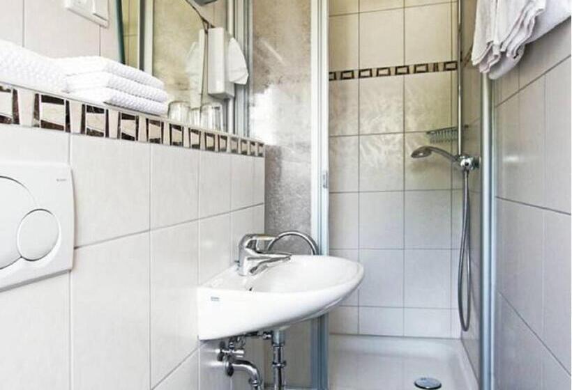 标准单人间, Pension Braun