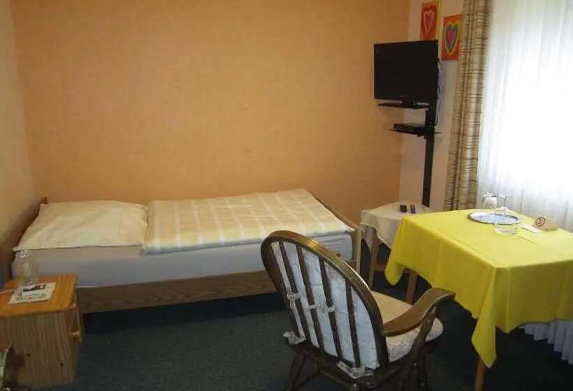 اتاق استاندارد یک نفره, Pension Gästehaus Waldhof