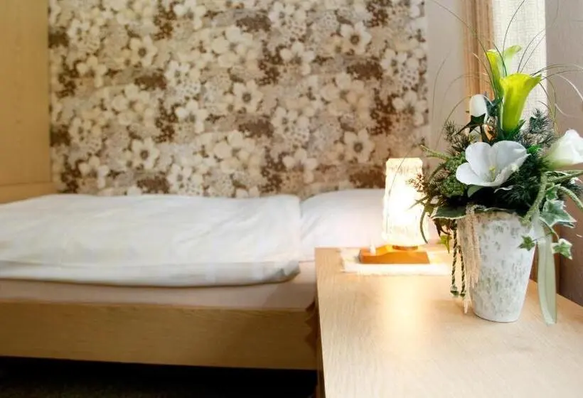 اتاق استاندارد یک نفره, Pension Gästehaus Waldhof