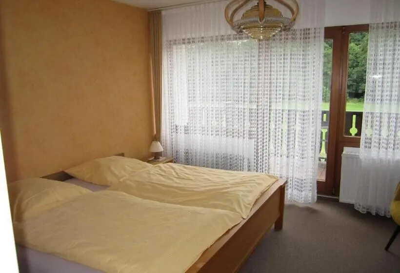 اتاق استاندارد با بالکن, Pension Gästehaus Waldhof