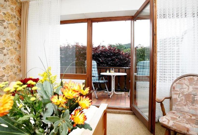 Номер Стандарт с Балконом, Pension Gästehaus Waldhof