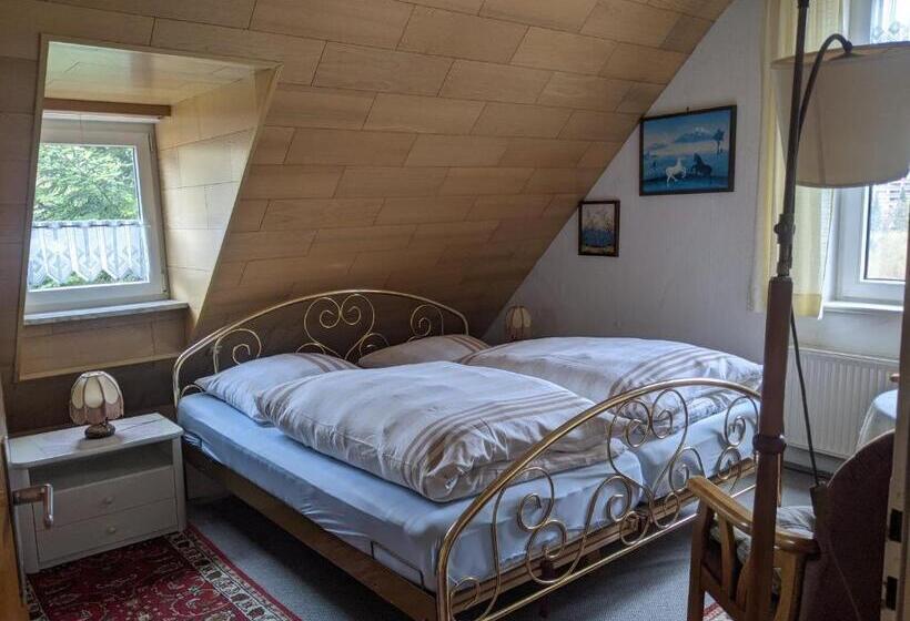 Полулюкс, Pension Haus Martha