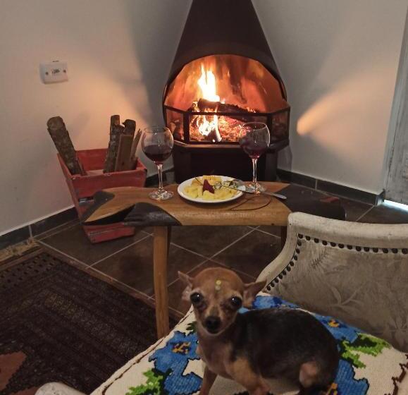 家庭间, Aldeia Parque Pousada Rural