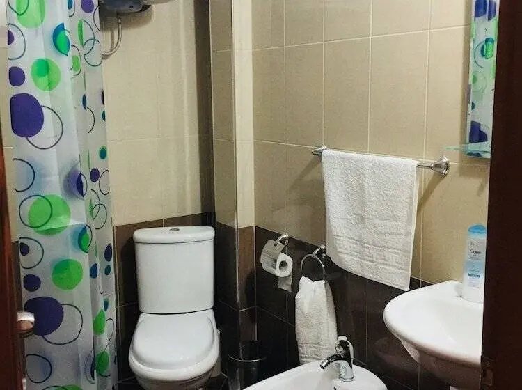 آپارتمان کلاسیک 1 خوابه, Denis Guest House