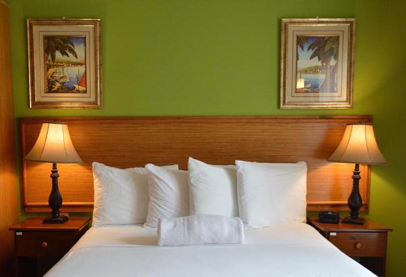 استودیوی استاندارد, Kiskadee Korner