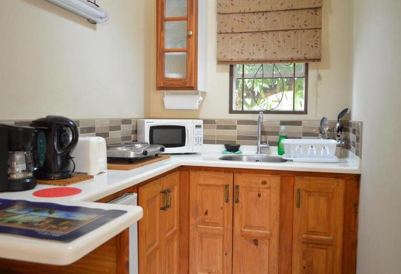 استودیوی استاندارد, Kiskadee Korner