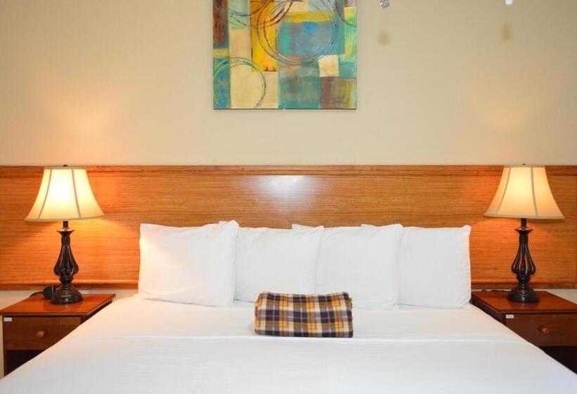 سوئیت با تخت بزرگ, Kiskadee Korner