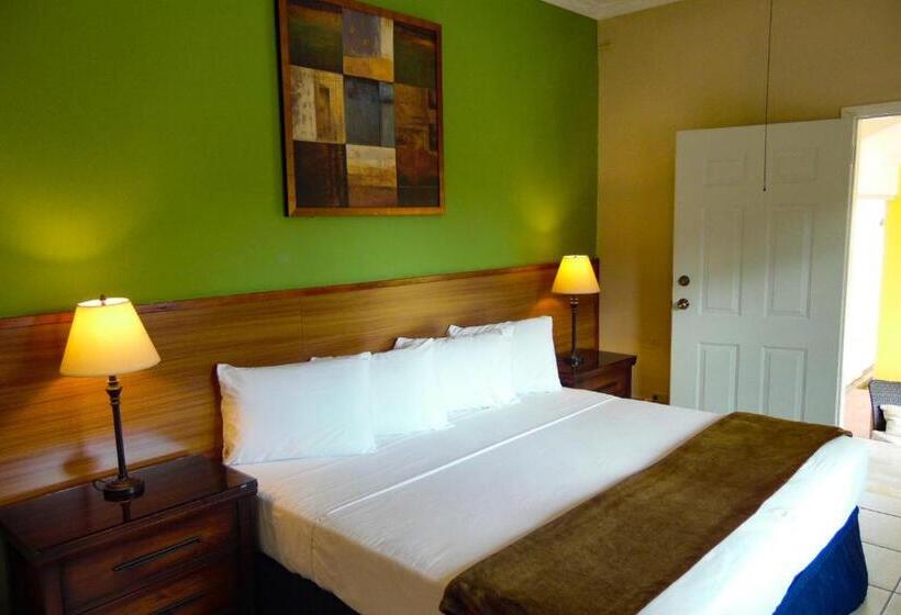 اتاق استاندارد با تخت بزرگ, Kiskadee Korner