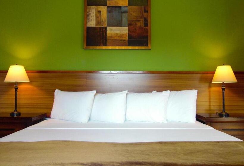 اتاق استاندارد با تخت بزرگ, Kiskadee Korner