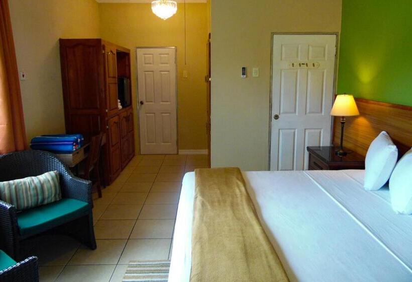 اتاق استاندارد با تخت بزرگ, Kiskadee Korner