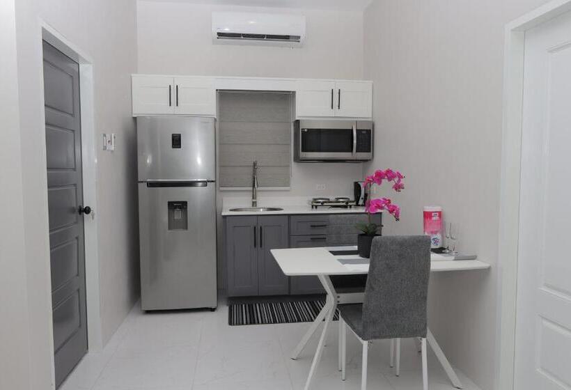 استودیوی لوکس, Kiskadee Korner