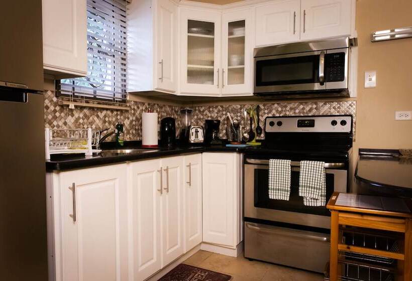 آپارتمان لوکس 1 خوابه, Kiskadee Korner