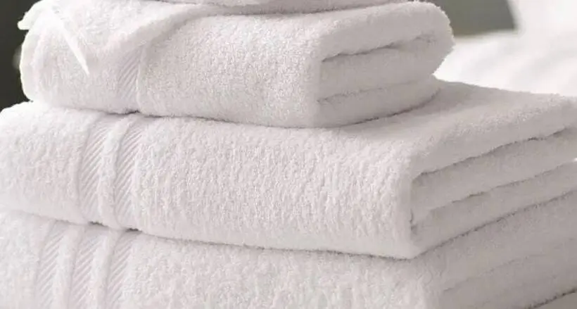 スイート, Staybridge Suites Auburn Hills, An Ihg