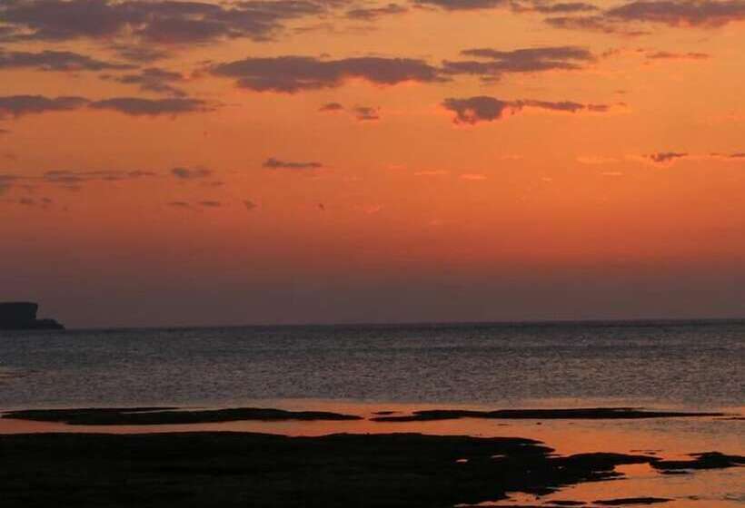 Апартаменты 1 Спальня, Scallop Beach Condominium