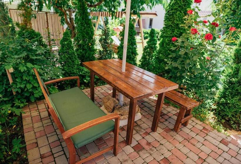 استودیوی استاندارد, Guest House Vadlen