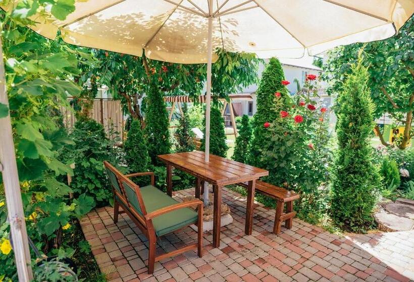استودیوی استاندارد, Guest House Vadlen
