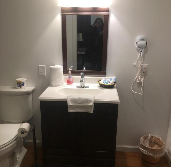 キングサイズベッドのデラックススイート, Villager Motel & Glen Manor Estate