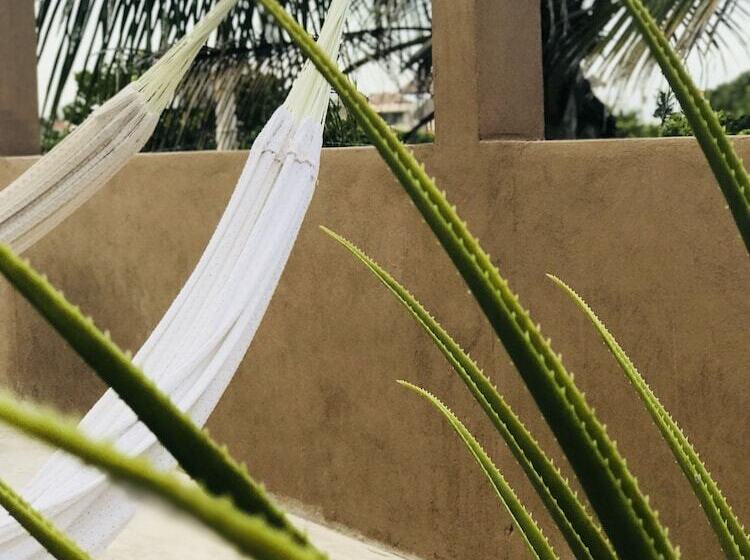 패밀리 룸, Bahia Tolok