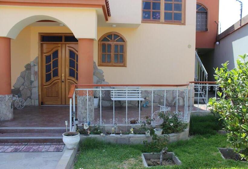 דירת חדר נוף לגינה, The House