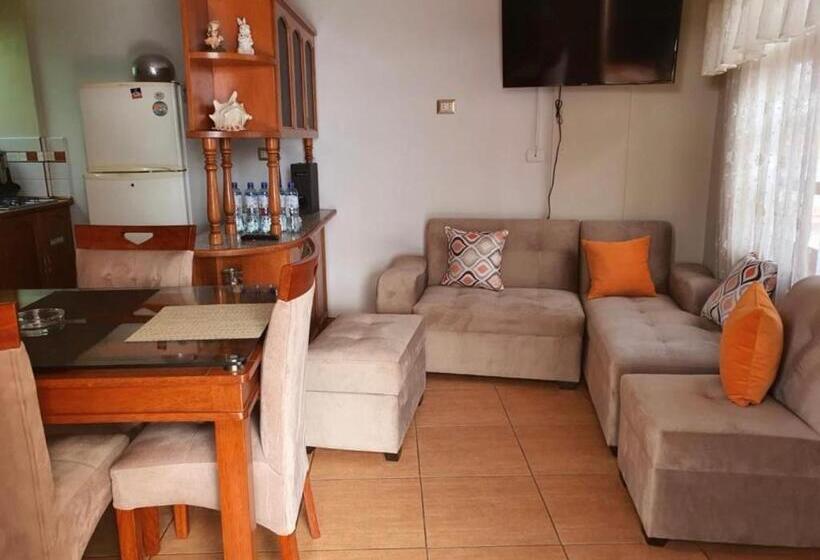 דירת חדר נוף לגינה, The House