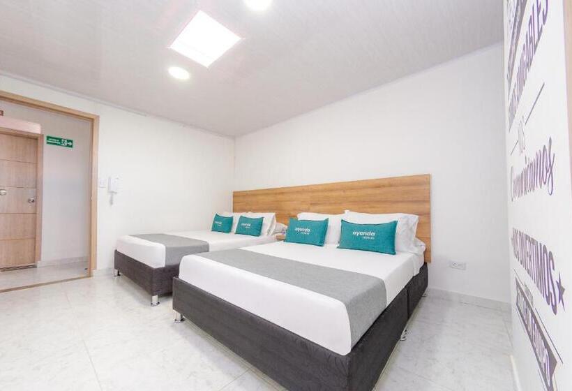 חדר סטנדרט לארבעה, Casa Mama