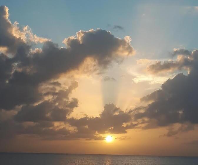 آپارتمان 1 خوابه, Titty S Paradise