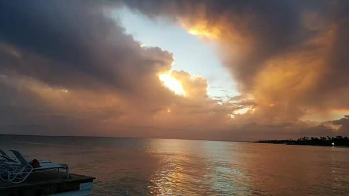 آپارتمان 1 خوابه, Titty S Paradise