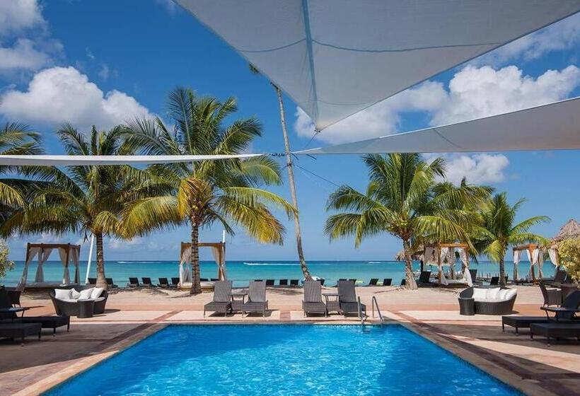 آپارتمان 1 خوابه, Titty S Paradise